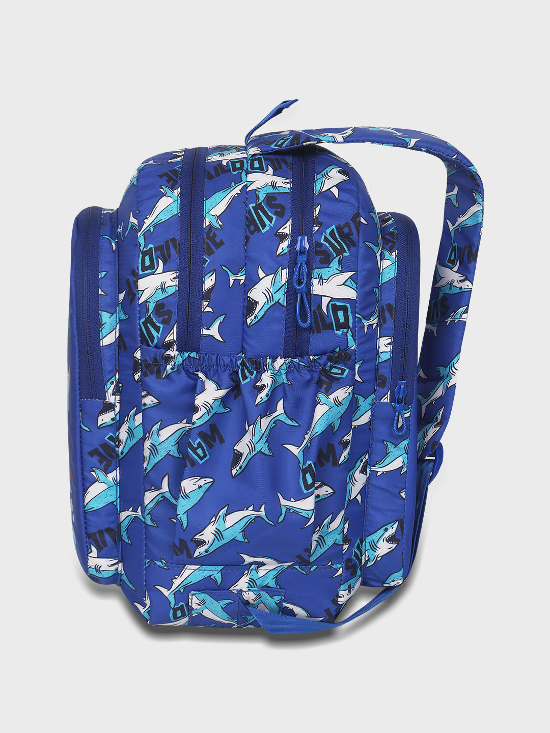 Flipster School Backpack